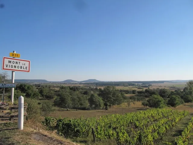 Vue depuis l’entrée de Mont-le-Vignoble