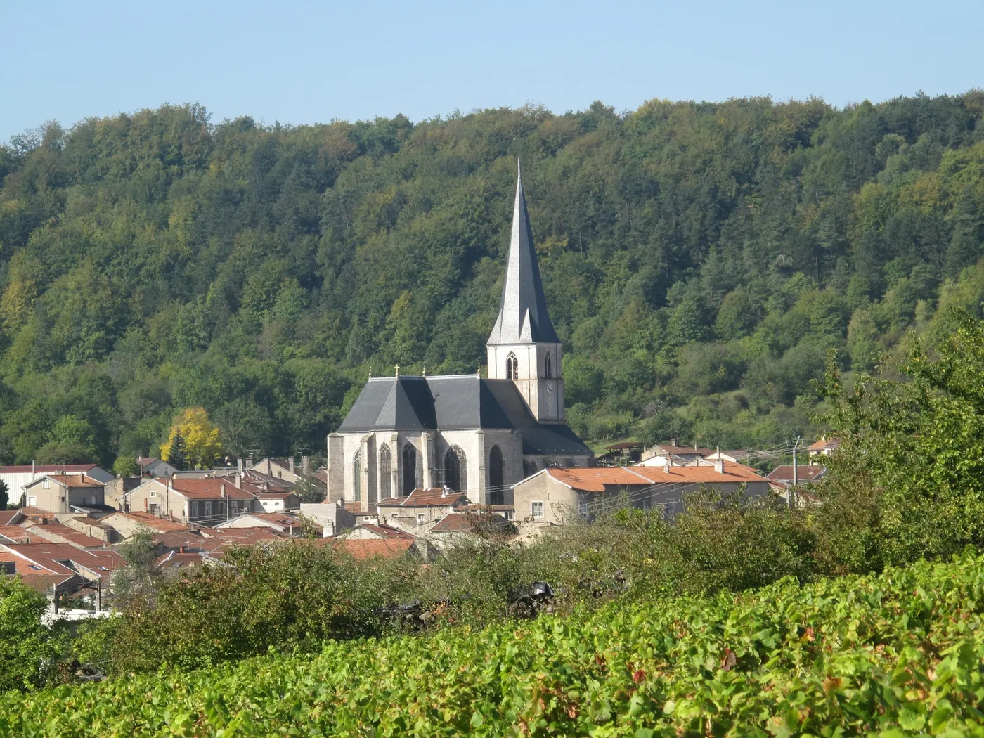 Le village et son église au-dessus des vignes