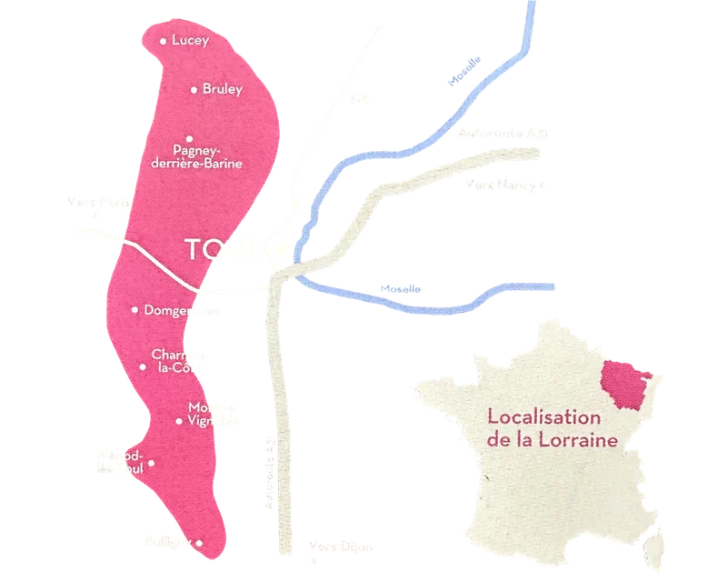 Carte de l’appellation Côtes de Toul : de Lucey au nord à Bulligny au sud, en passant par Bruley, Toul et Mont-le-Vignoble
